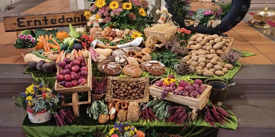 Auf dem Bild ist ein reich geschmückter Erntedankaltar in einer Kirche zu sehen. Auf mehreren Ebenen sind frische Erntegaben arrangiert: Kartoffeln, Karotten, Rote Bete, Äpfel, Trauben, Brotlaibe, Nüsse, Kürbisse, Zwiebeln und weitere Gemüse- und Obstsorten. Bunte Blumen, grüne Tücher und dekorative Elemente wie ein Reifen mit Sonnenblumen, Holzschubkarren und ein „Erntedank“-Schild aus Holz runden das festliche Arrangement ab. Im Hintergrund steht ein mit weißer Altardecke geschmückter Altar.